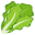 :leafy-green: