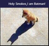 I am batman.jpg