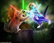 Starwarscats.jpg