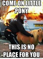 come-on-little-pony.jpg