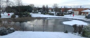 frozen pond 2018.jpg