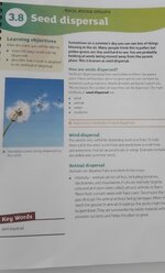 IMG_20250513_115101.jpg IMG_20250513_115101.jpg