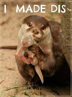 Otter mother.jpg