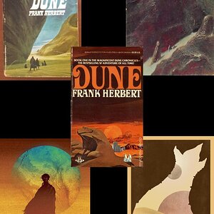 Dune Covers