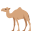 :camel: