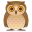:owl: